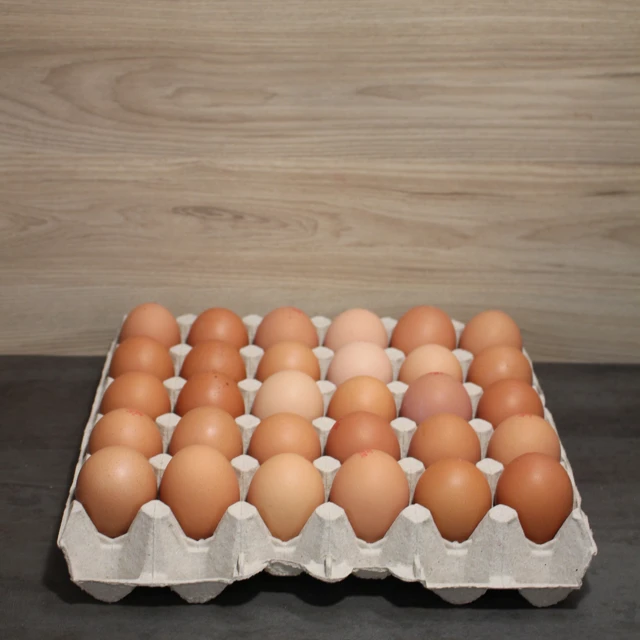 Vorschau: Eier L von Geflügelhof Werner - Impression 2