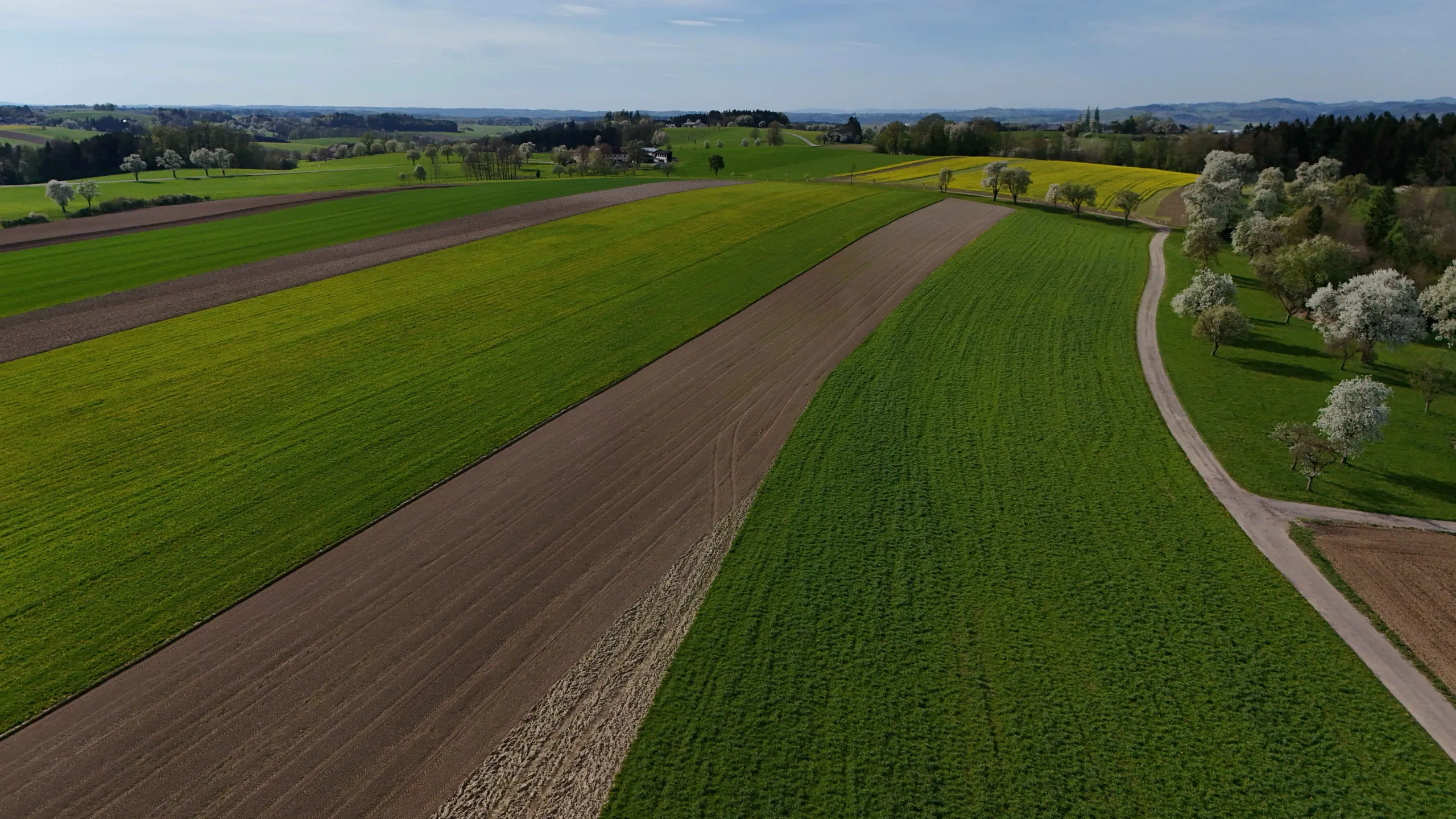 Farm background